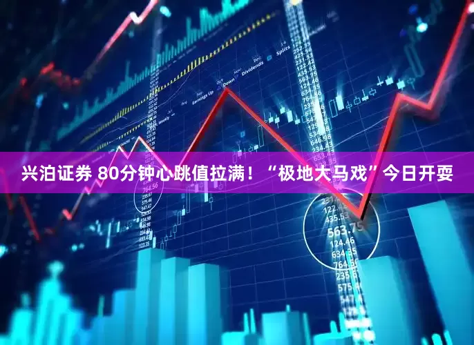 兴泊证券 80分钟心跳值拉满！“极地大马戏”今日开耍