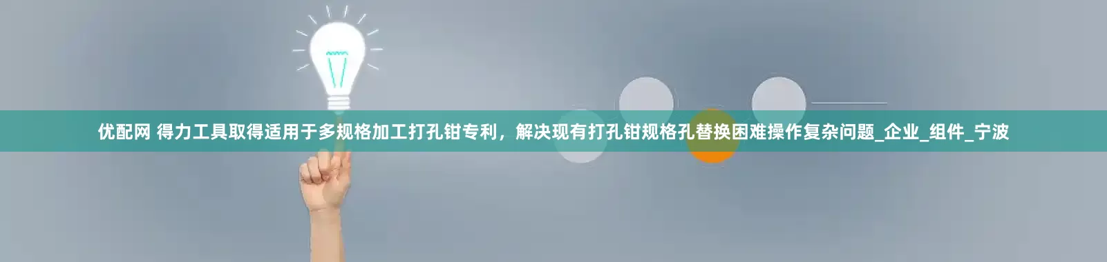 优配网 得力工具取得适用于多规格加工打孔钳专利，解决现有打孔钳规格孔替换困难操作复杂问题_企业_组件_宁波