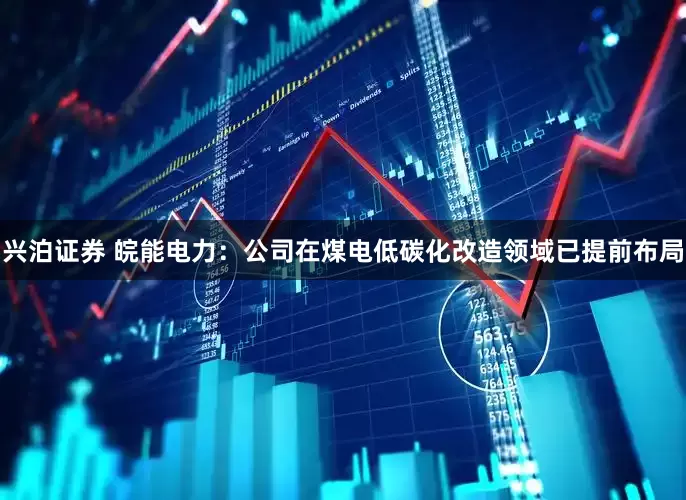 兴泊证券 皖能电力：公司在煤电低碳化改造领域已提前布局